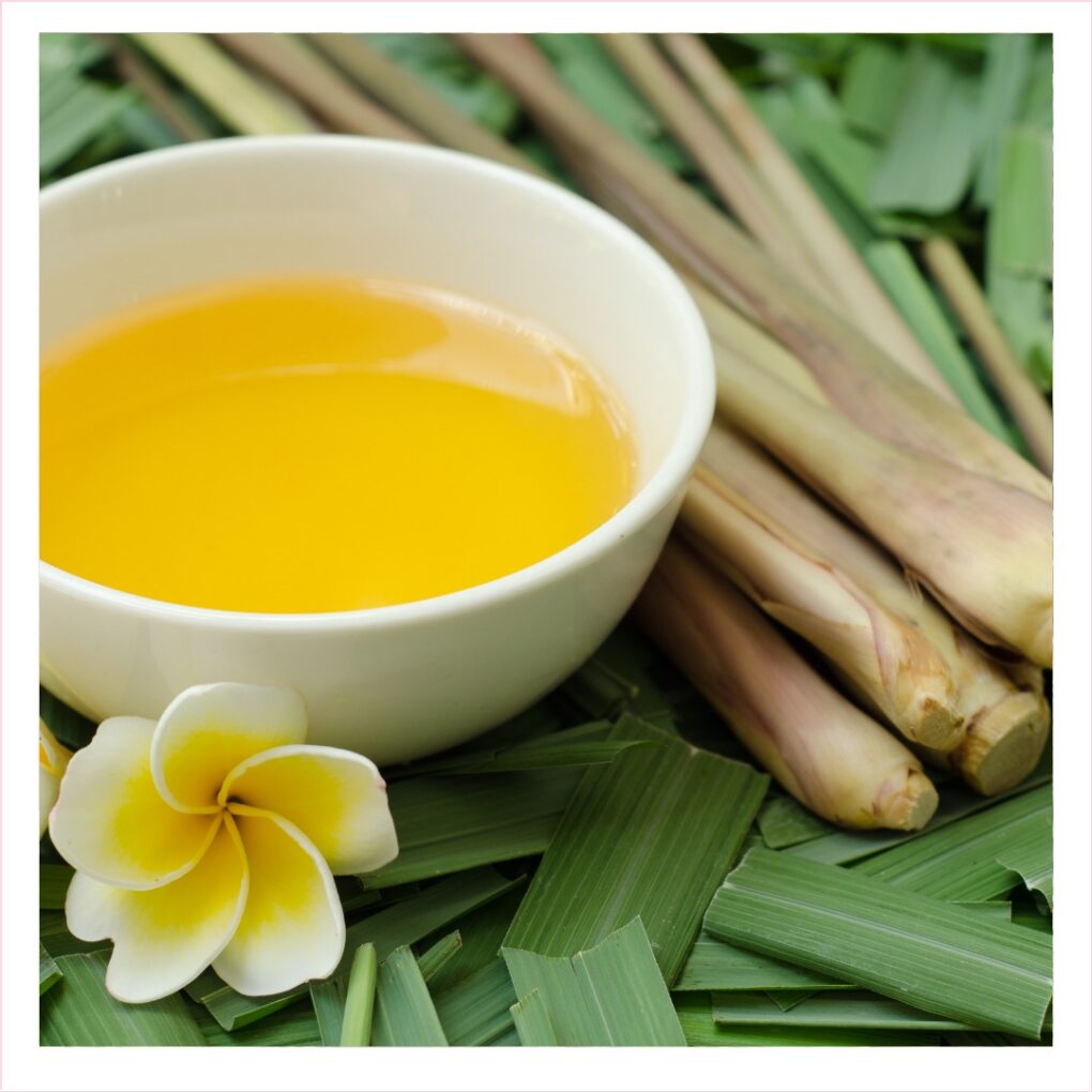 Citronella Oil