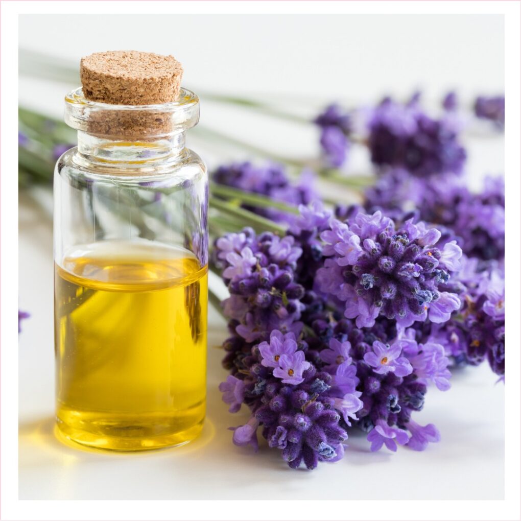 Lavender Oil