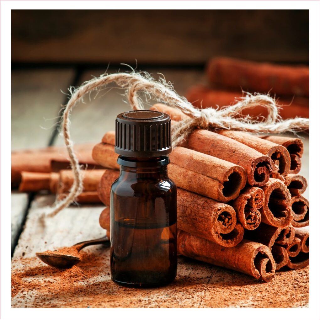 Cinnamon Bark Oil