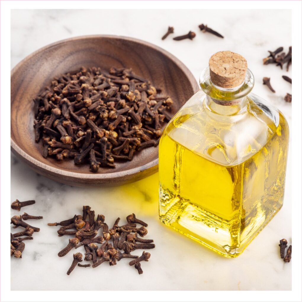 Clove Bud Oil