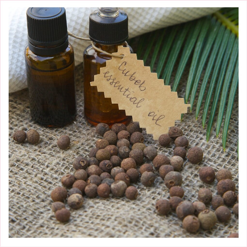 Cubeb Oil